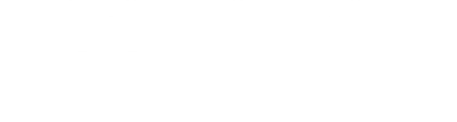 Beyond Reality Simulations
